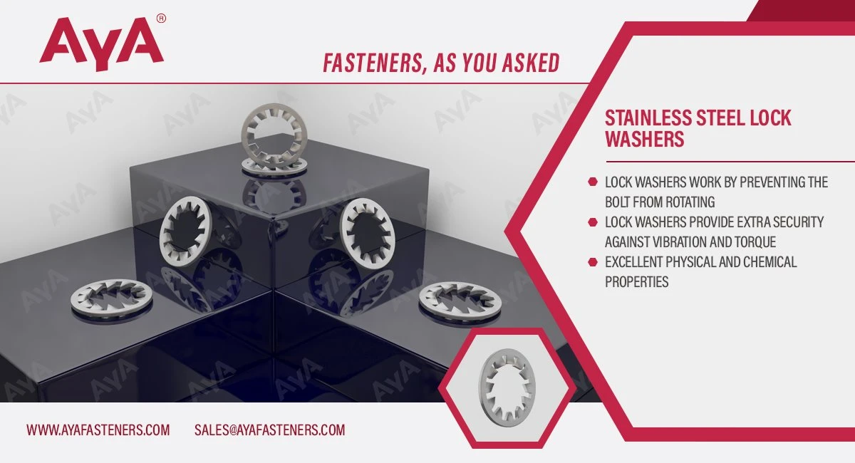 Stainless Steel Lock Washer-advantages Stainless Steel Lock Washer-advantages